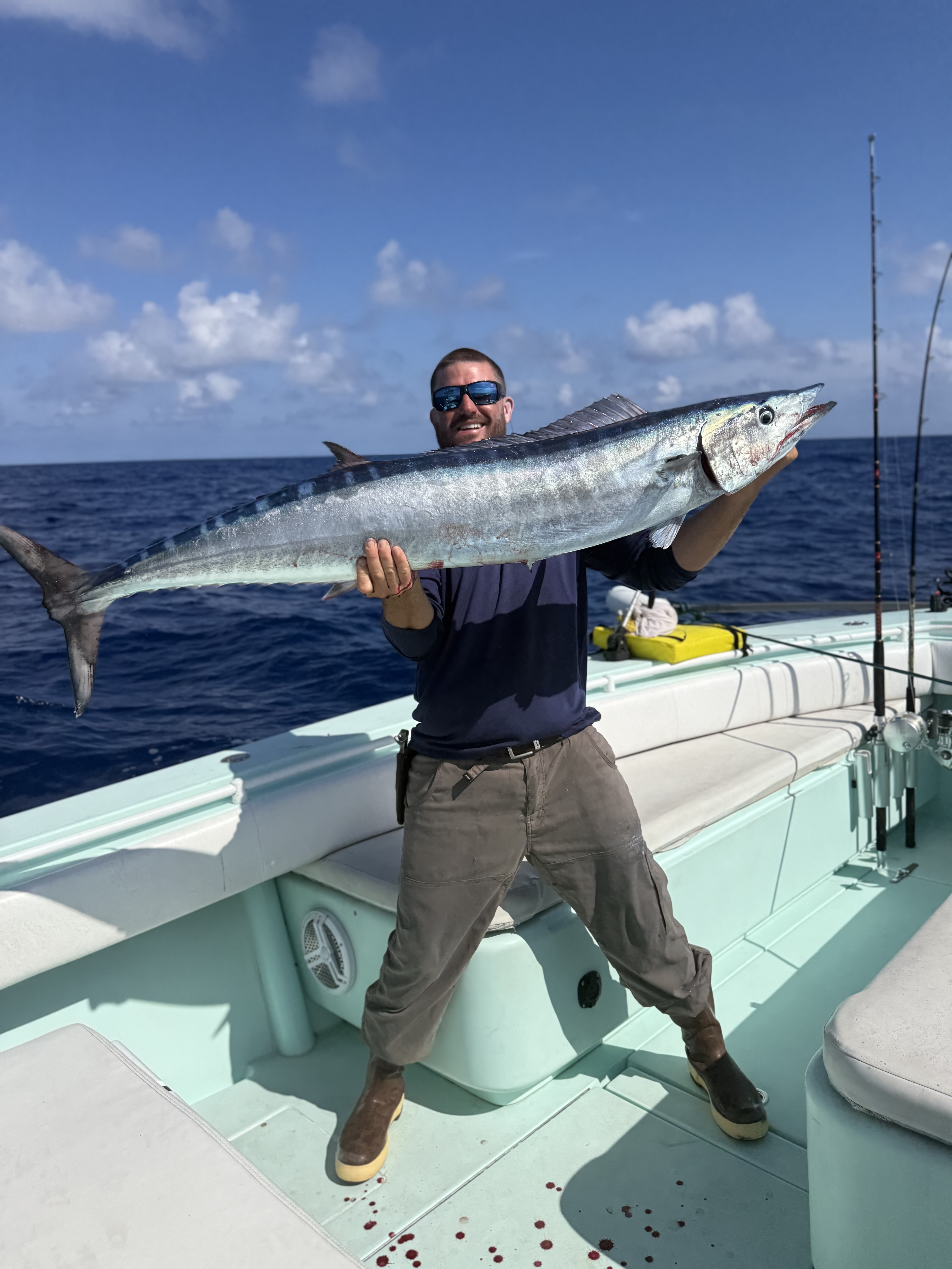 Wahoo