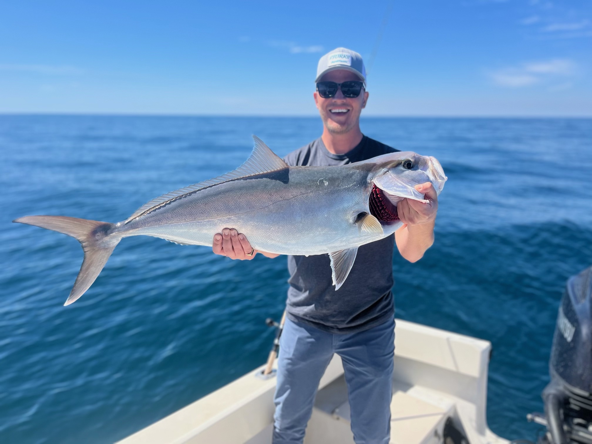 Fishing photo - Amberjack1