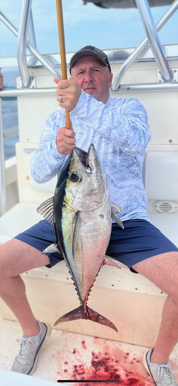 Fishing photo - Blackfin Tuna