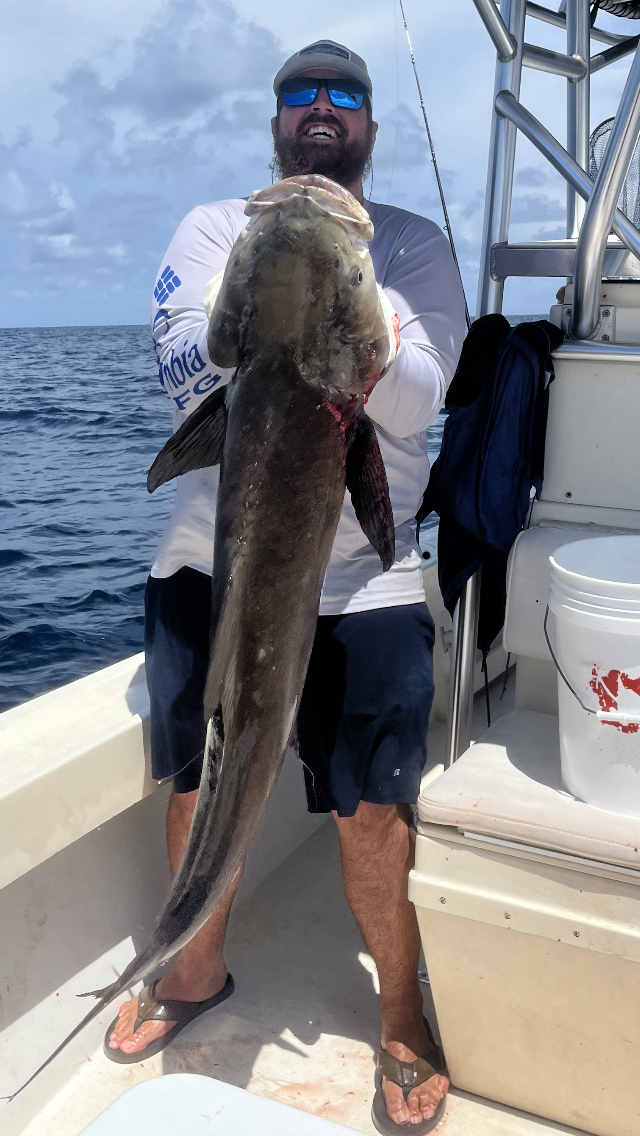 Fishing photo - Cobia