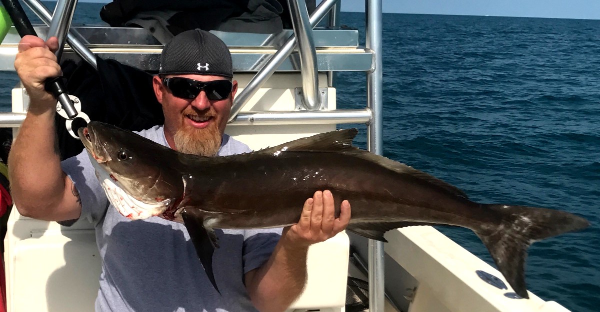 Fishing photo - Cobia2