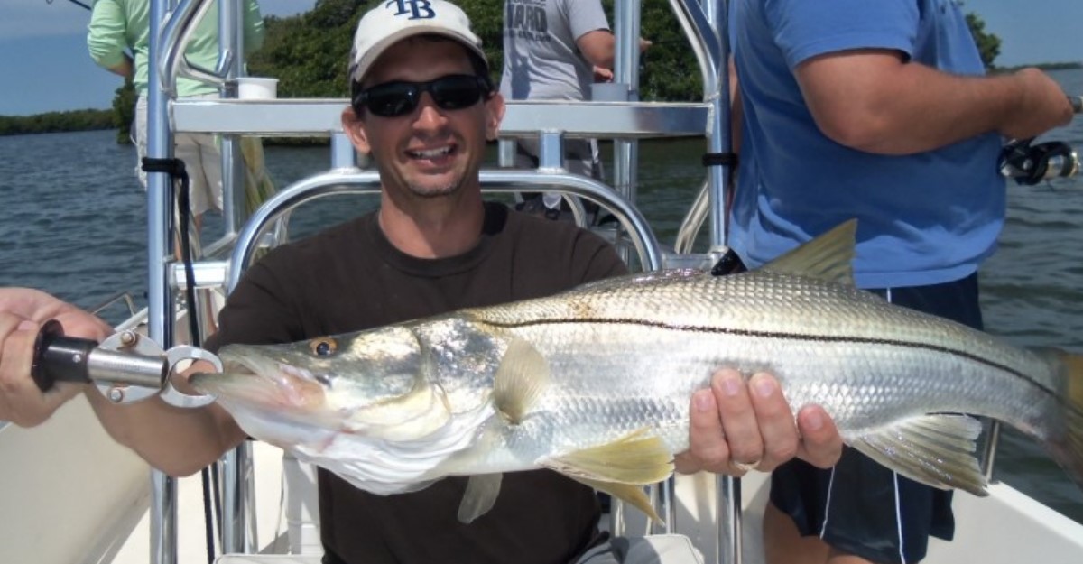 Fishing photo - Snookbite2