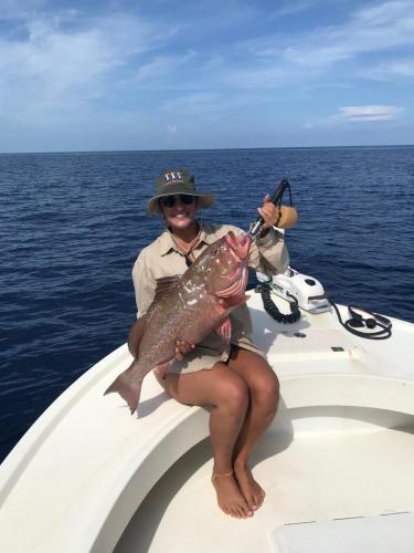 Red Grouper