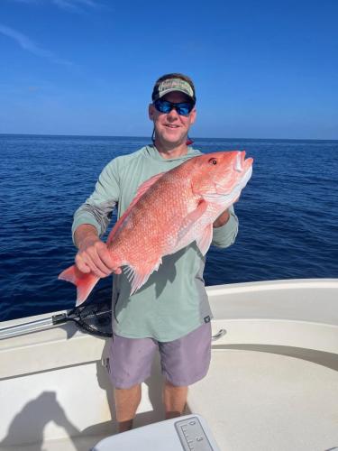 Red Snapper